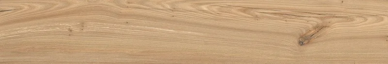 2026_07_18_849463